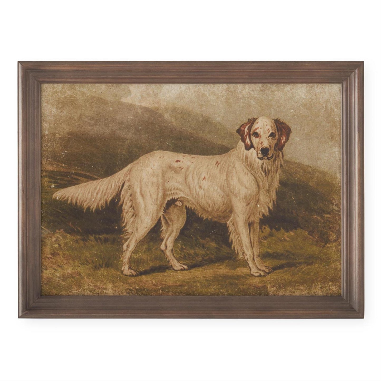Assorted 23.5 Inch Dog Prints (4 Styles)