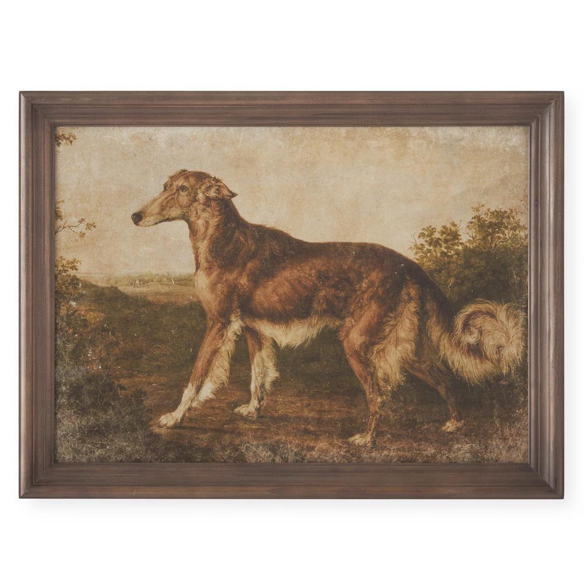 Assorted 23.5 Inch Dog Prints (4 Styles)