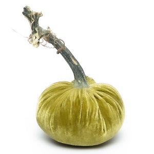 Velvet Pumpkins Various Colors & Sizes