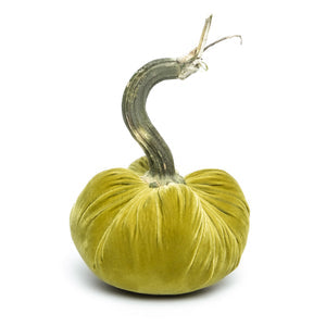 Velvet Pumpkins Various Colors & Sizes
