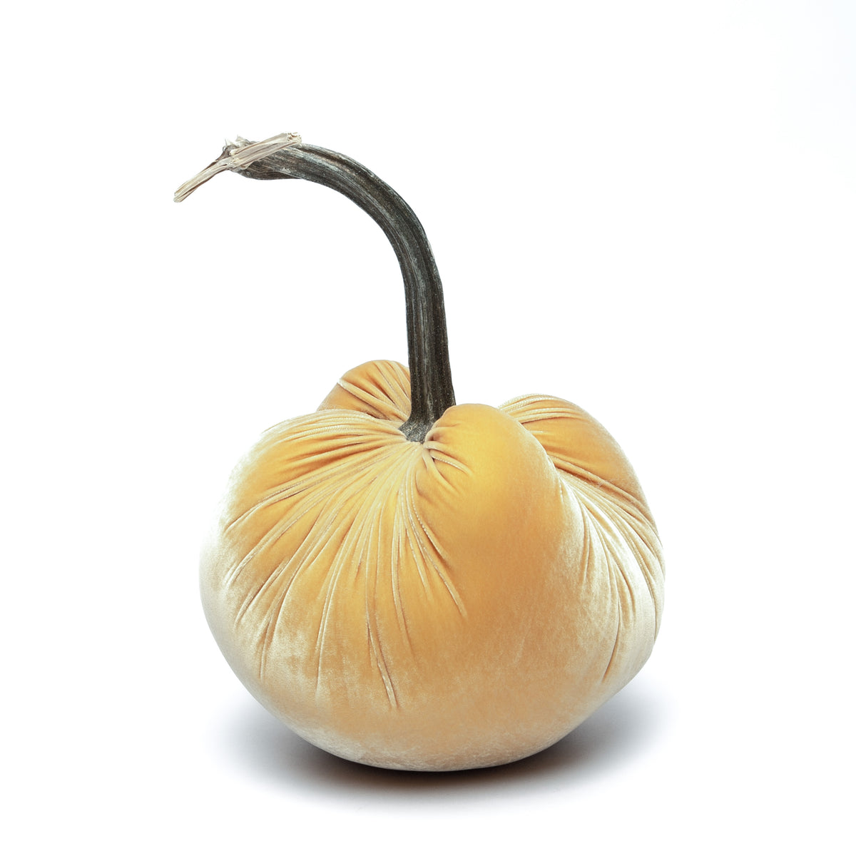 Velvet Pumpkins Various Colors & Sizes