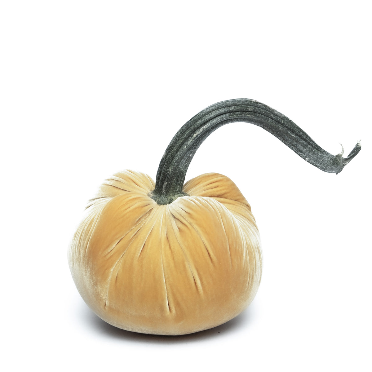 Velvet Pumpkins Various Colors & Sizes