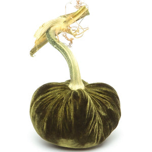 Velvet Pumpkins Various Colors & Sizes