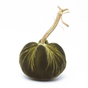 Velvet Pumpkins Various Colors & Sizes