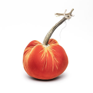 Velvet Pumpkins Various Colors & Sizes