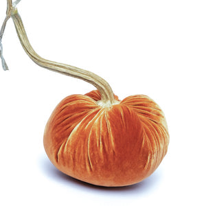 Velvet Pumpkins Various Colors & Sizes