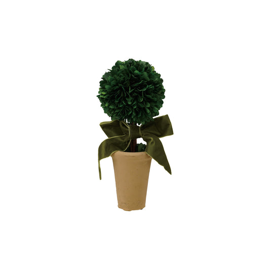 Boxwood Tree