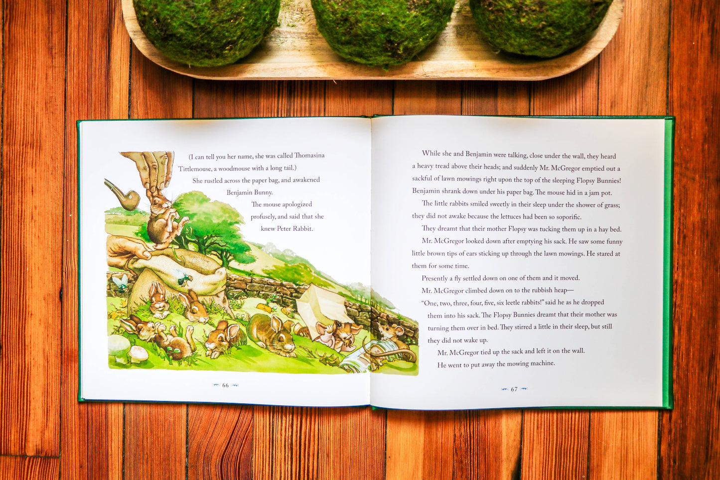 HarperCollins Focus - The Classic Tale of Peter Rabbit: The Collectible Leather Ed