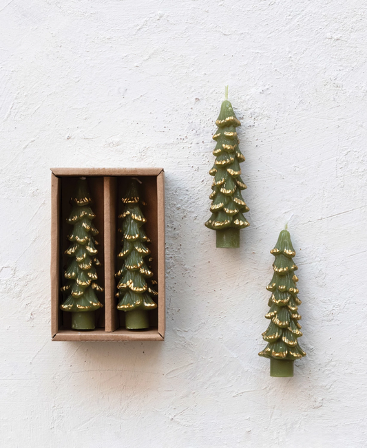 Unscented Tree Shaped Taper Candles w/ Gold Tips in Box, Set of 2