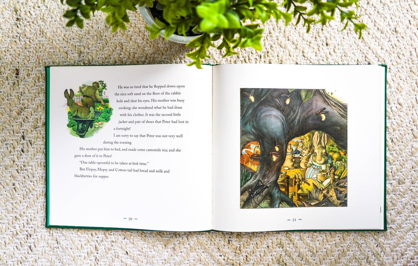 HarperCollins Focus - The Classic Tale of Peter Rabbit: The Collectible Leather Ed