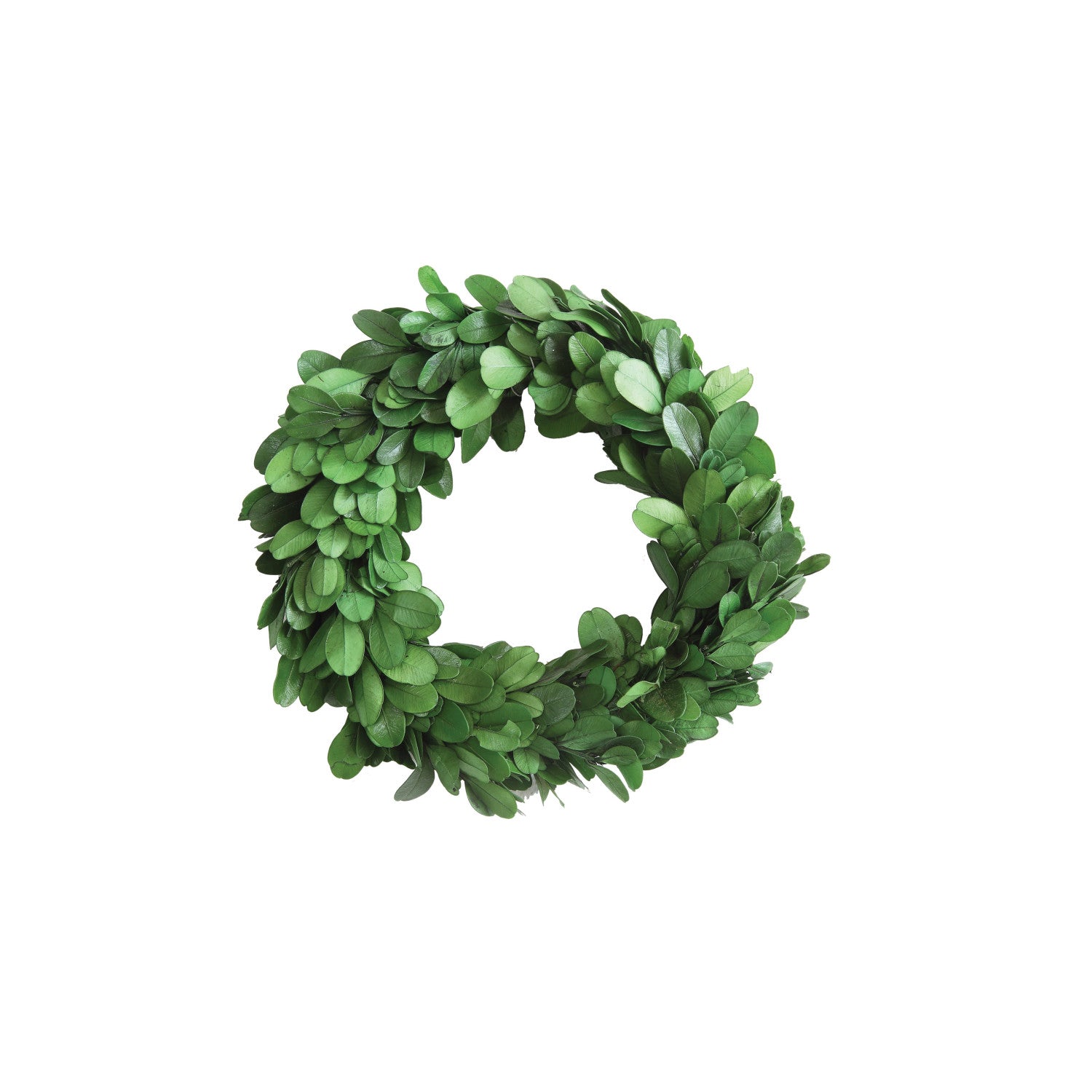 Preserved Boxwood Wreath